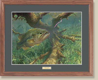 Tight To Cover-Largemouth Bass by Mark Susinno (image for) Tight To Cover-Largemouth Bass by Mark Susinno